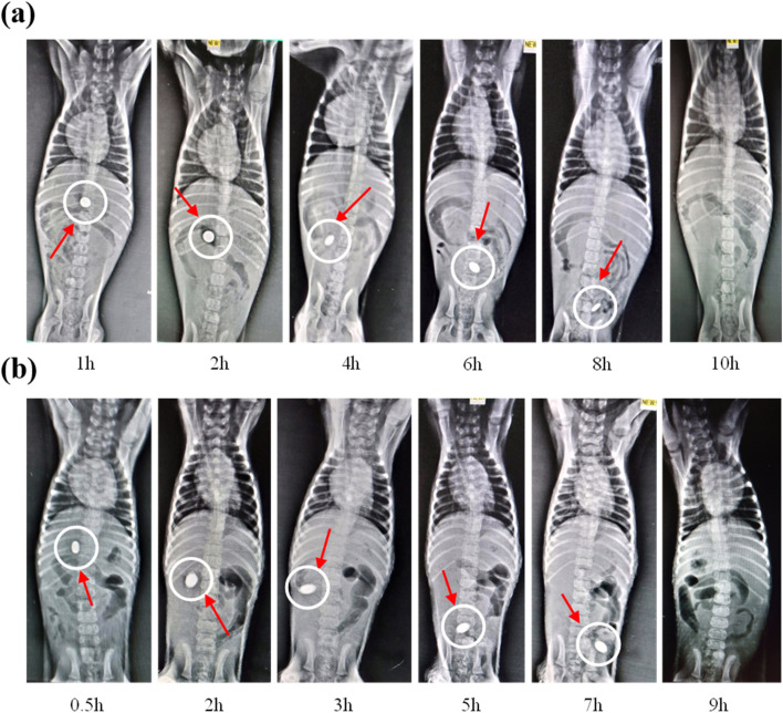 Fig. 6