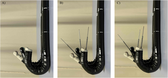 FIGURE 2