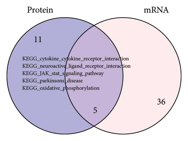 Figure 19
