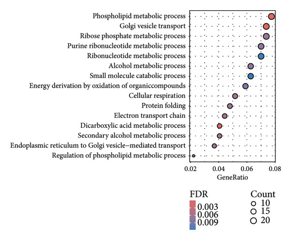 Figure 21