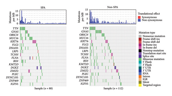 Figure 29