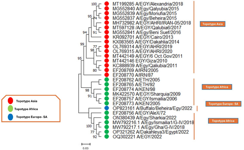Figure 5