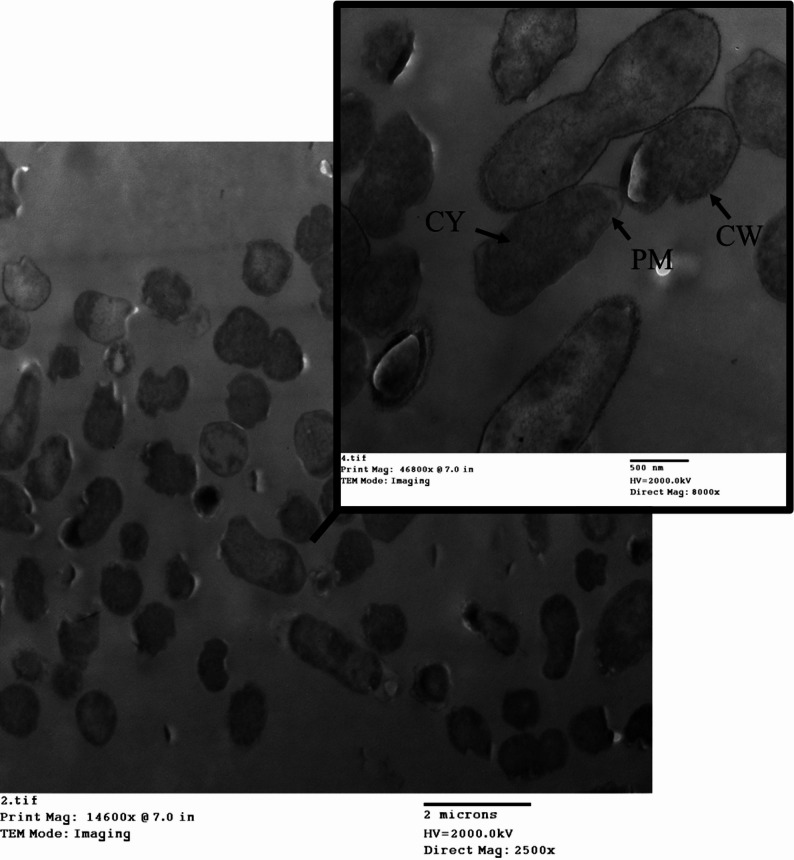 Figure 14