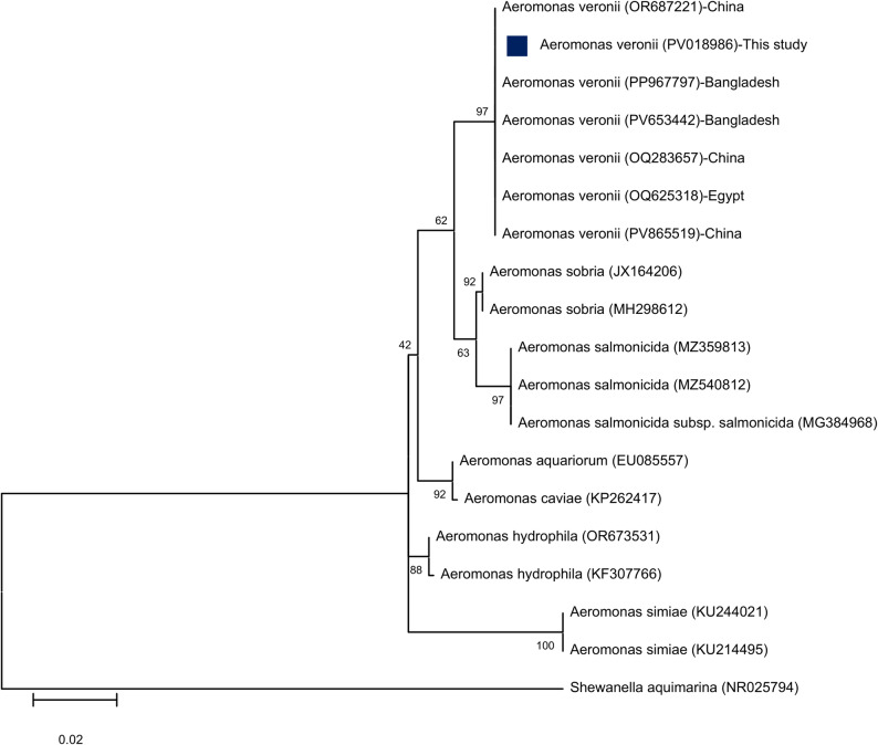 Figure 4