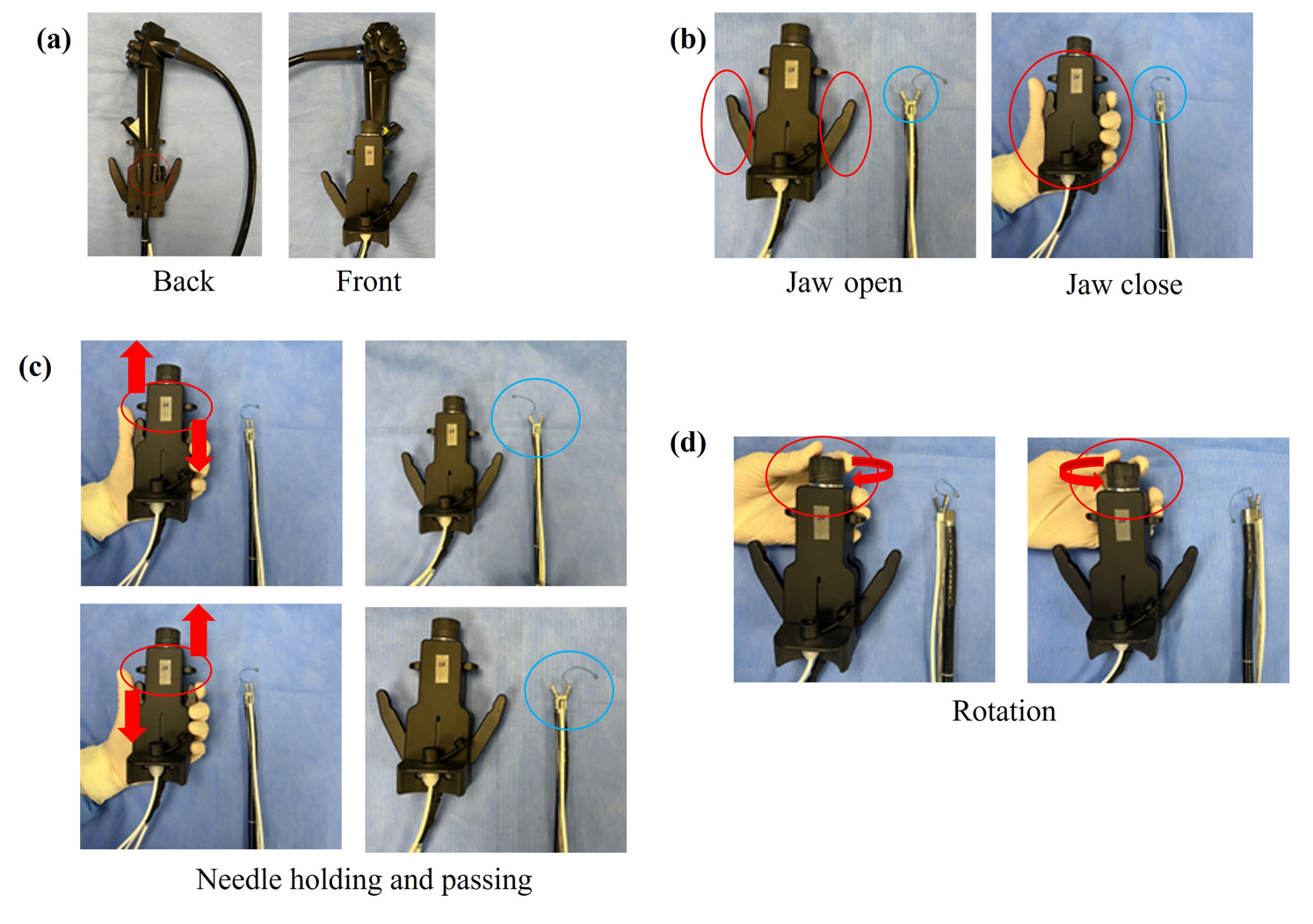 Figure 1