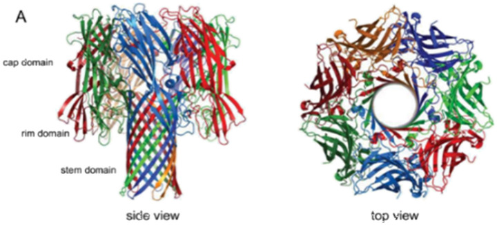 Figure 24