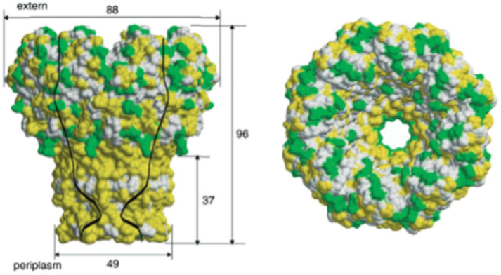 Figure 25