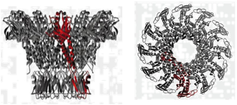 Figure 26