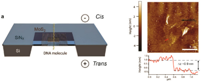 Figure 29