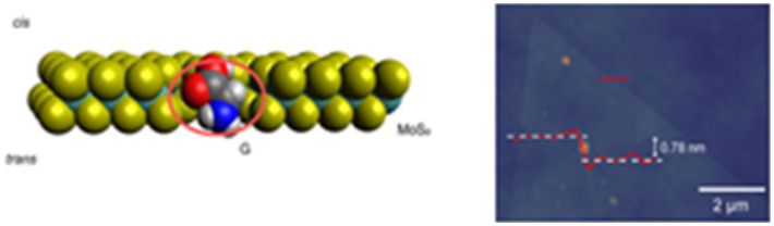 Figure 30