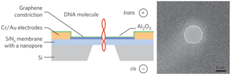 Figure 31