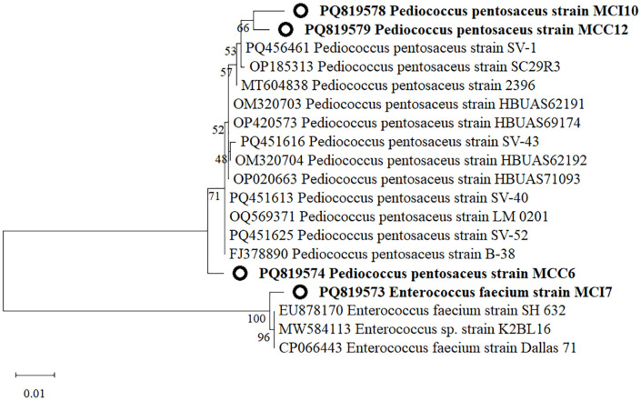 Figure 7