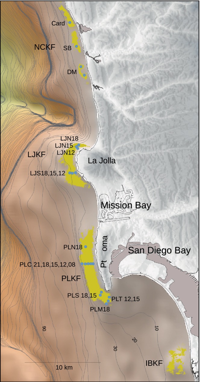Figure 8