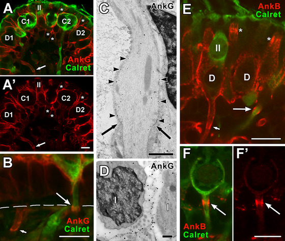 Figure 16