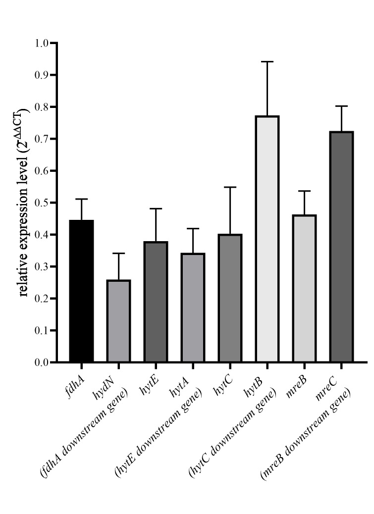 Figure 12