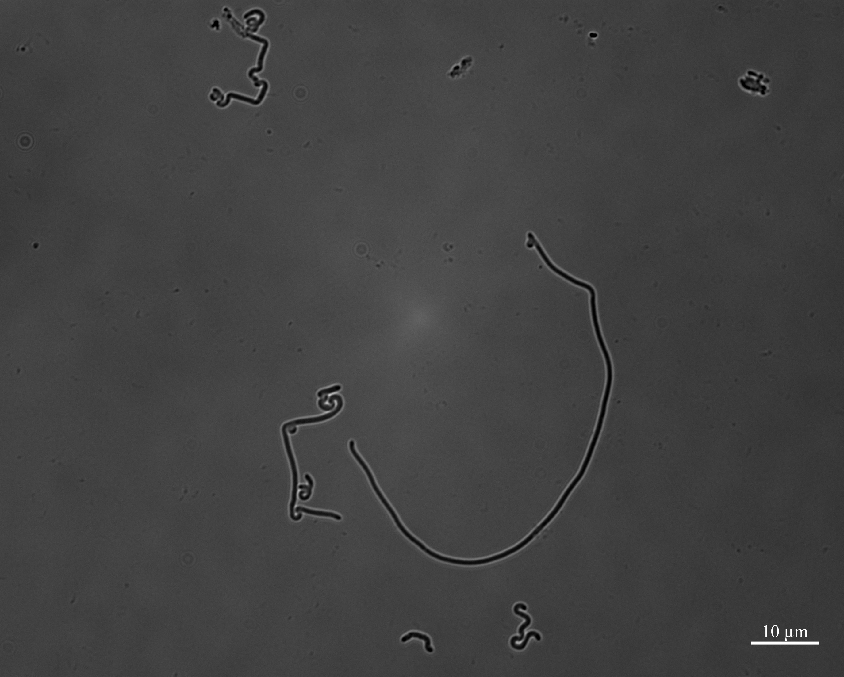 Figure 16