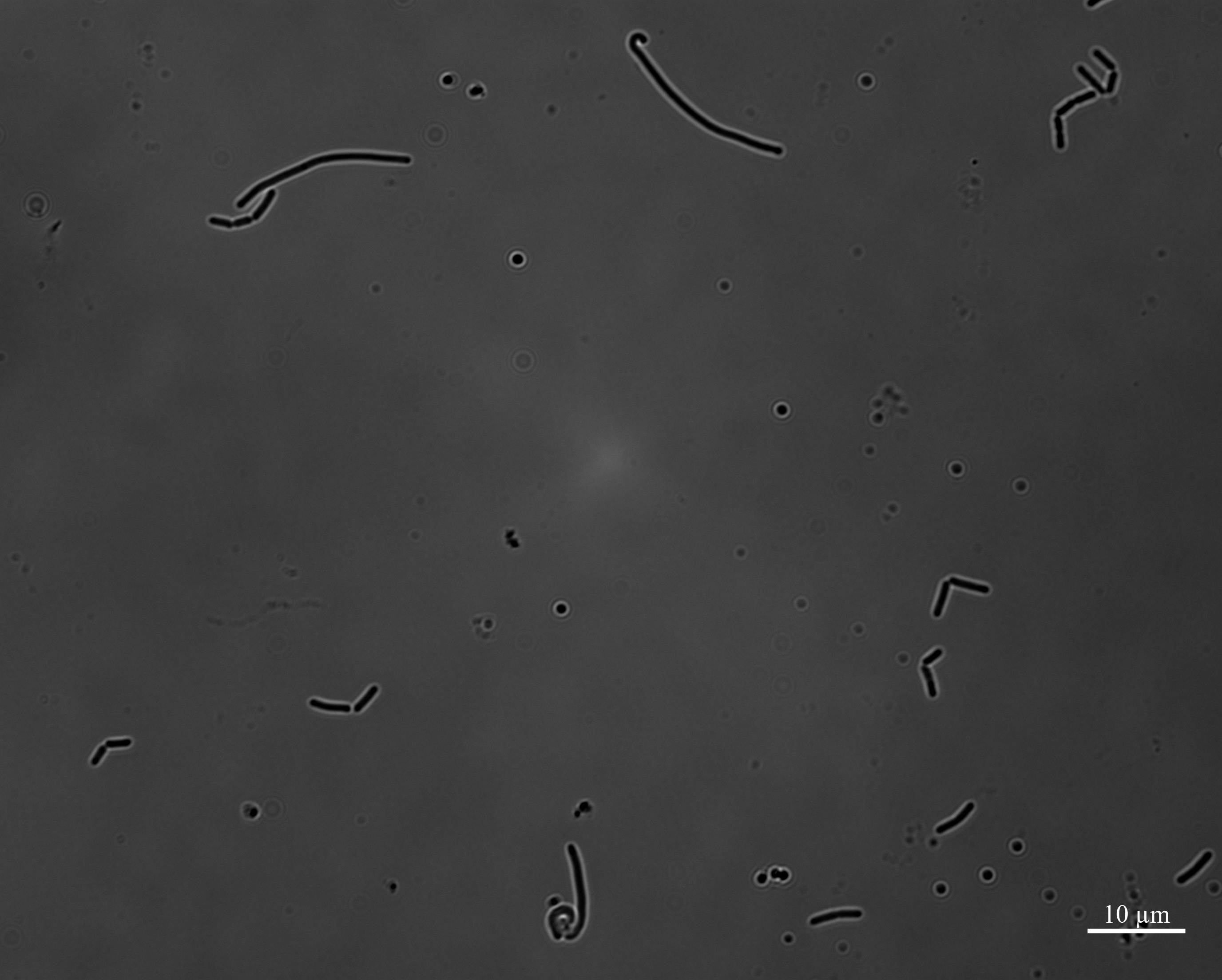 Figure 18
