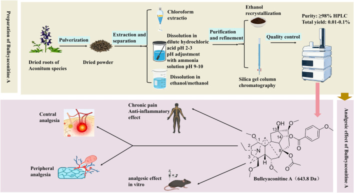 Figure 32