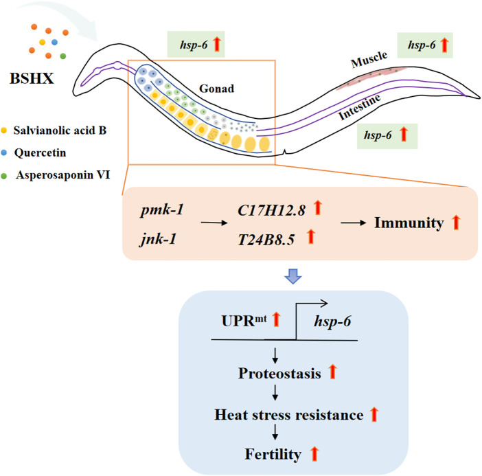 Figure 10
