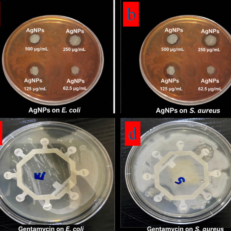 Figure 14