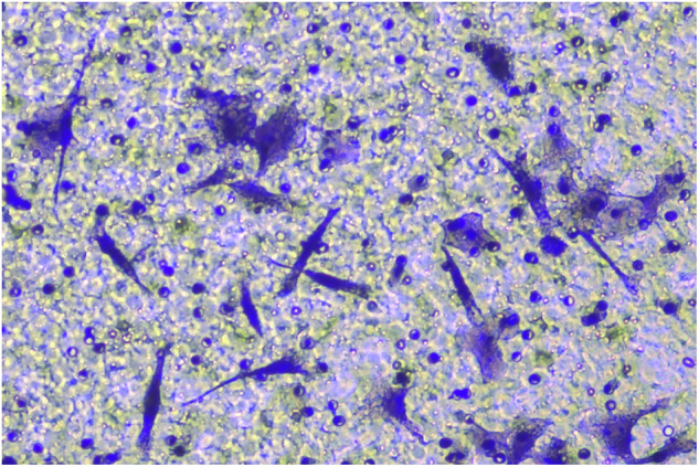 Figure 10
