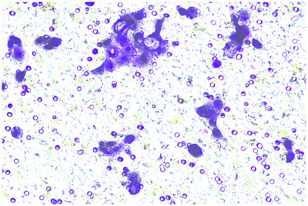 Figure 12