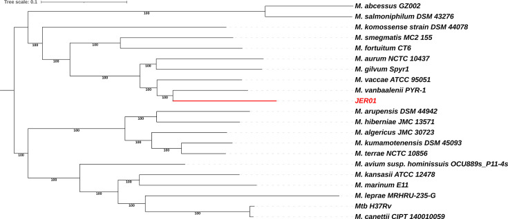 Figure 2