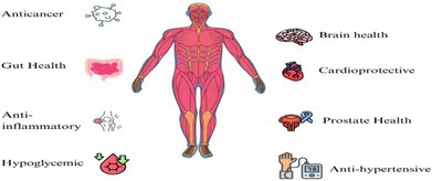 Figure 12