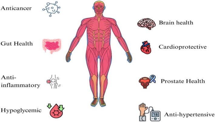Figure 13