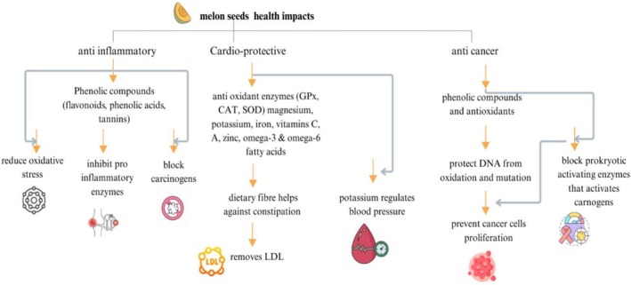Figure 22