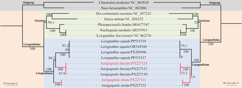 Figure 6