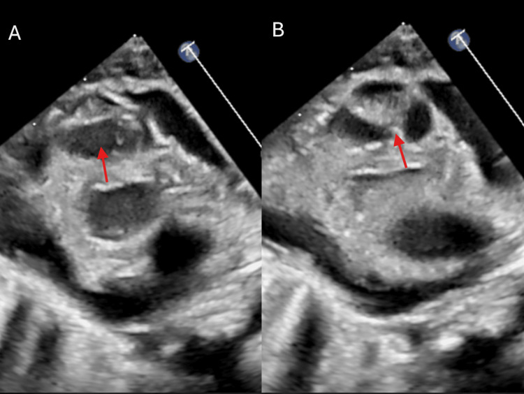 Figure 7