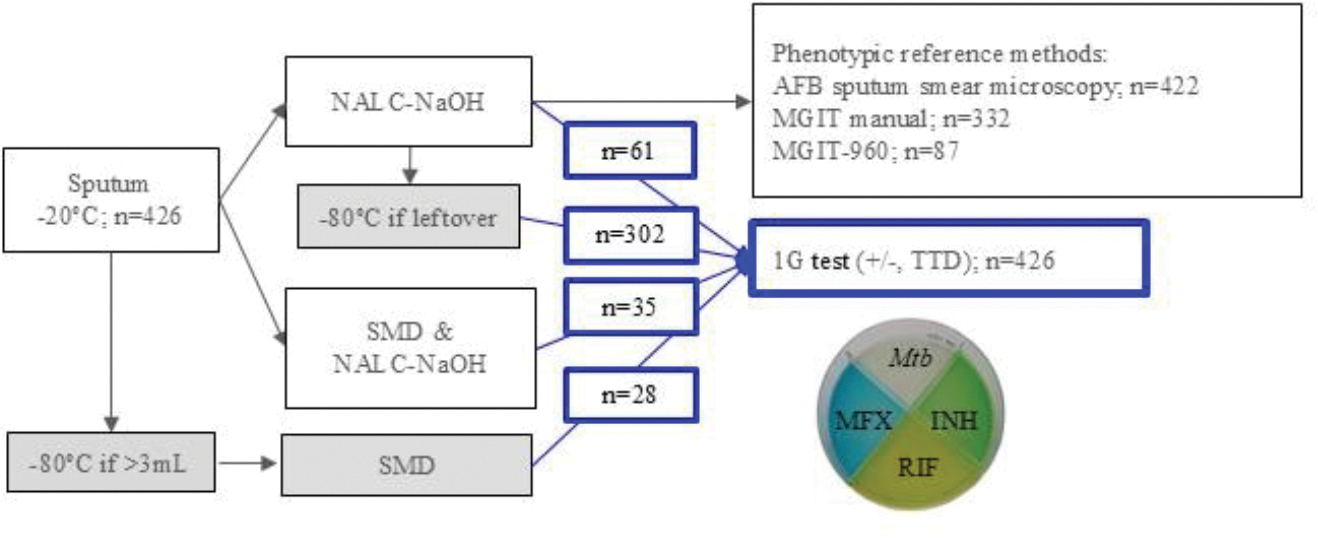 Figure 1