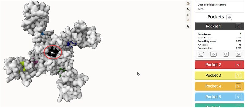 Figure 5