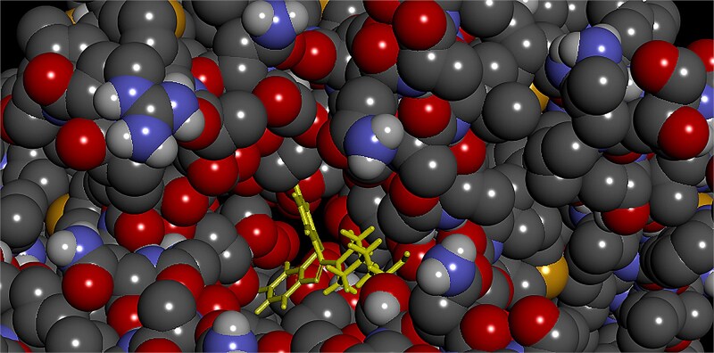 Figure 12