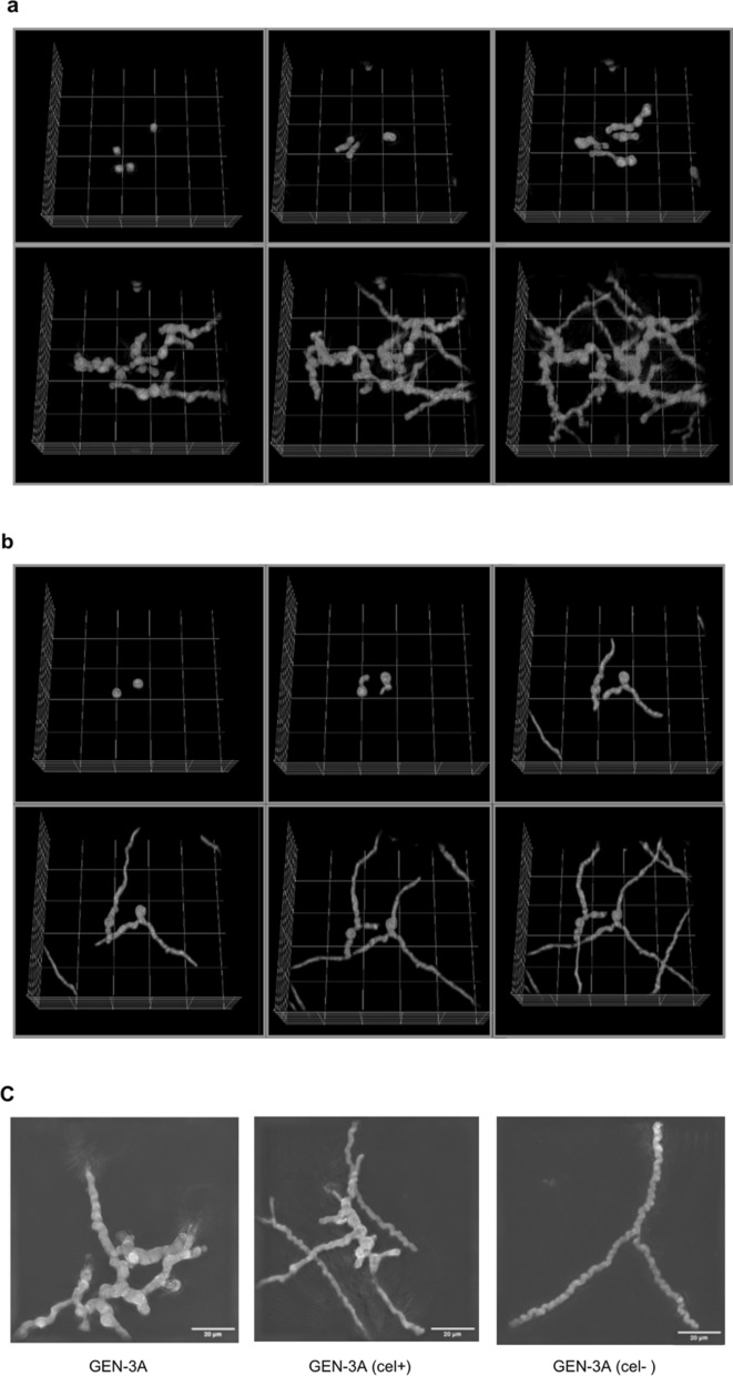 Figure 9