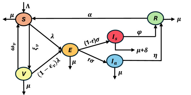 Figure 2