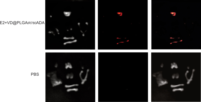 Figure 16