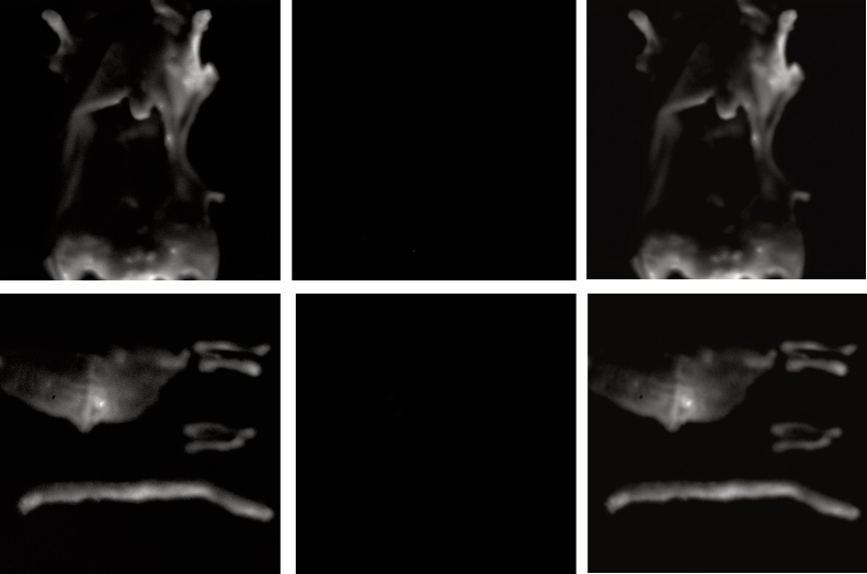 Figure 17
