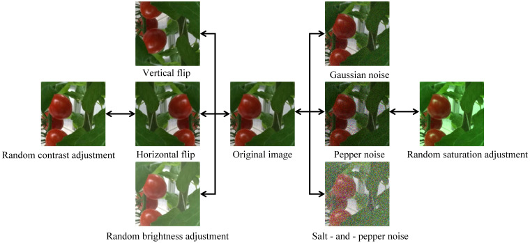 Figure 2
