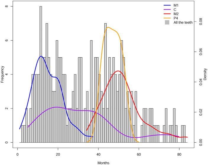 Figure 6
