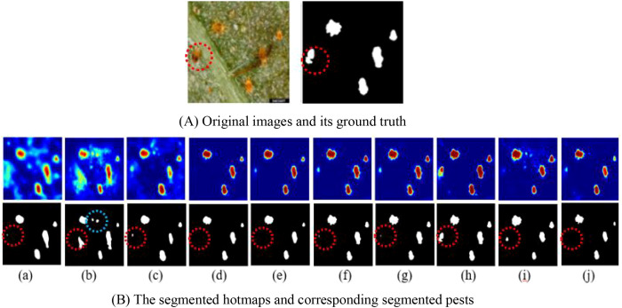 Figure 6