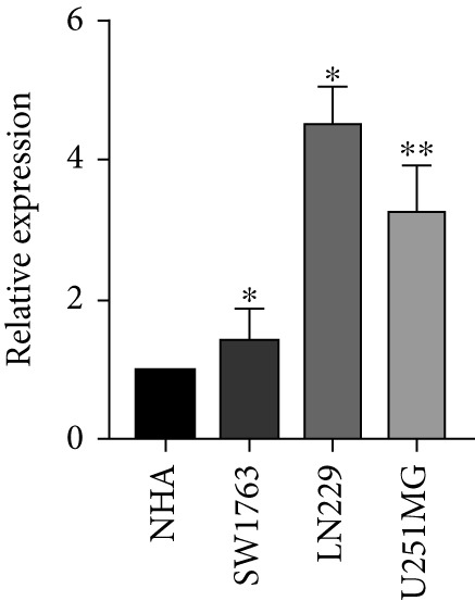Figure 14