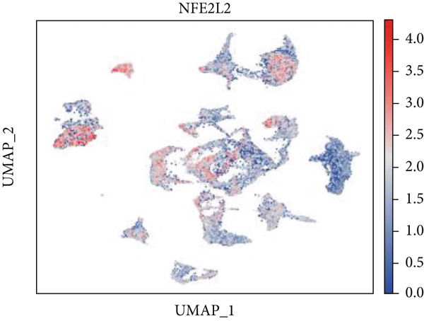 Figure 20