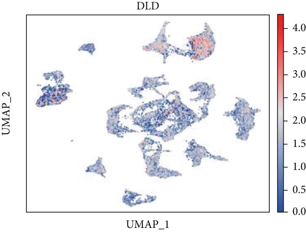Figure 21