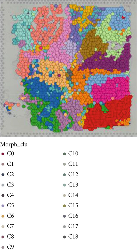 Figure 26