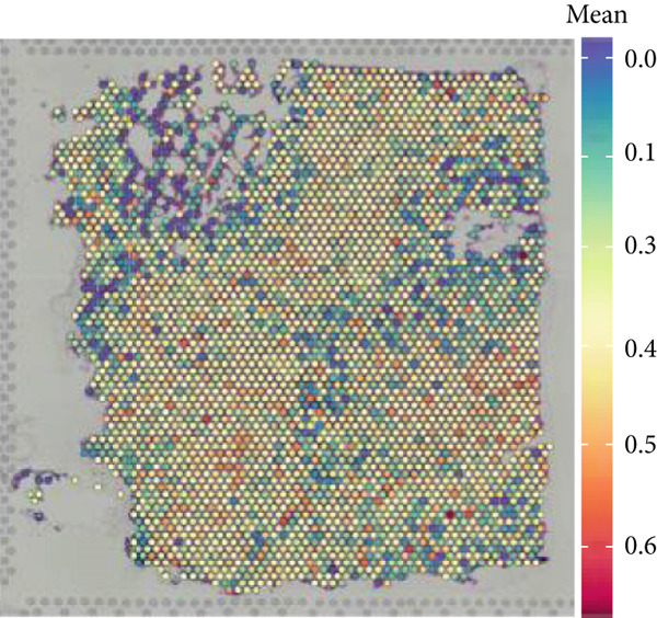Figure 29