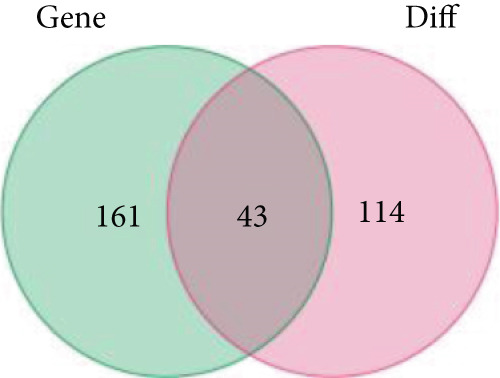 Figure 34