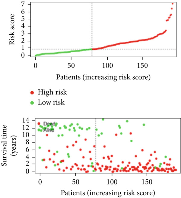 Figure 41