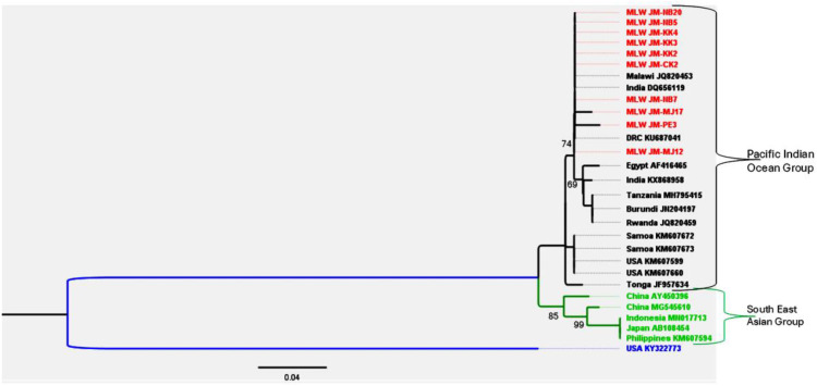 Figure 5
